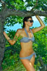 Поясной фотопортрет девушки-модели в купальнике и солнечных очках у дерева